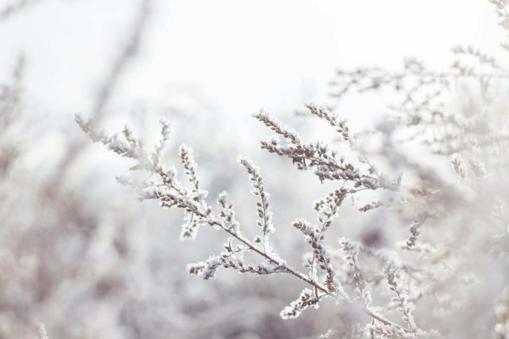 Overcoming Seasonal Depression: Understanding and Beating Winter Sadness